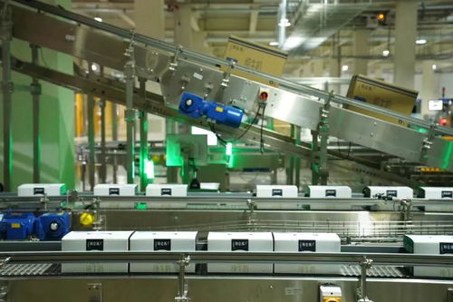 數字監控系統 實現牛奶從牧場到包裝下線13小時高效管控